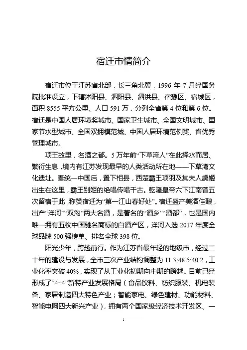 宿迁情简介