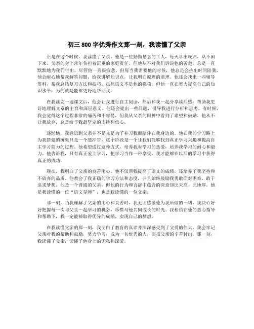 初三800字优秀作文那一刻,我读懂了父亲