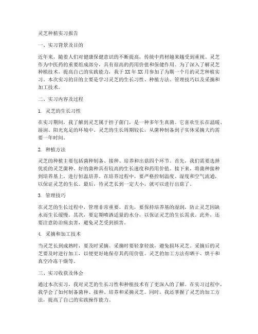 灵芝种植实习报告