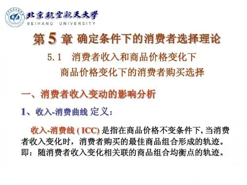 ch5消费者选择