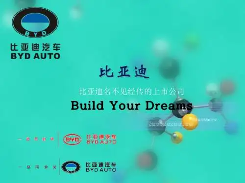 比亚迪的成功案例