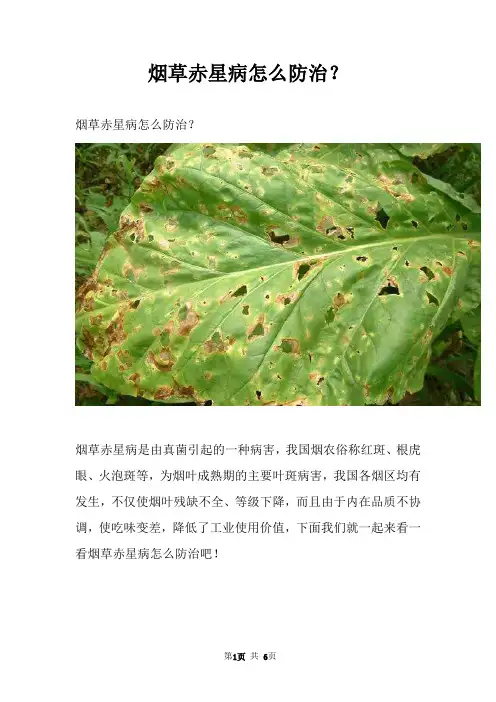 烟草赤星病怎么防治？