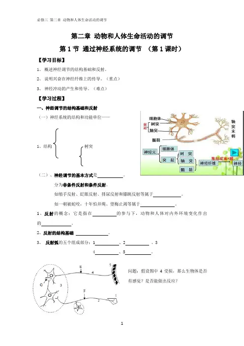 通过神经系统的调节导学案