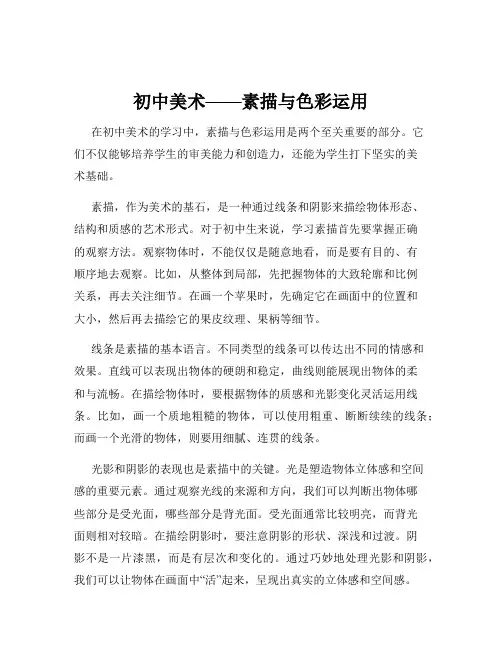 初中美术——素描与色彩运用