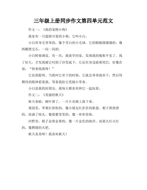 三年级上册同步作文第四单元范文