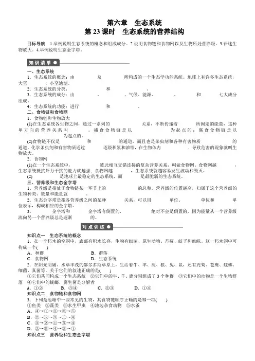 高中生物浙科版稳态与环境第六章生态系统 第六章第23课时