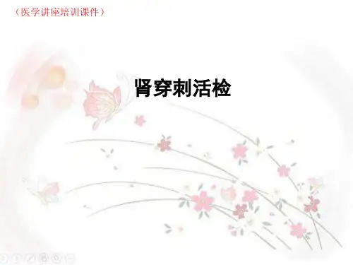 肾穿刺活检(医学讲座培训课件)