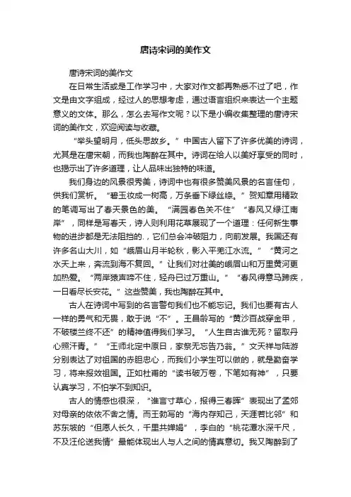 唐诗宋词的美作文