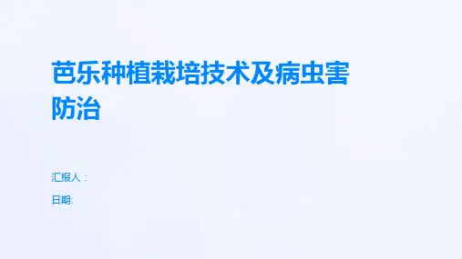 芭乐种植栽培技术及病虫害防治