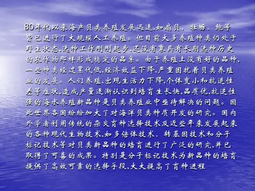 海洋经济贝类育种研究进展