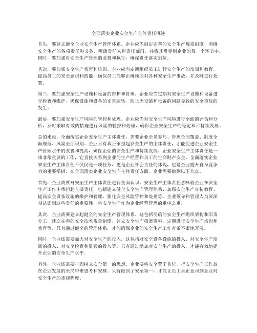 全面落实企业安全生产主体责任概述