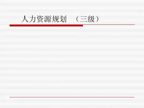 人力资源规划(三级)