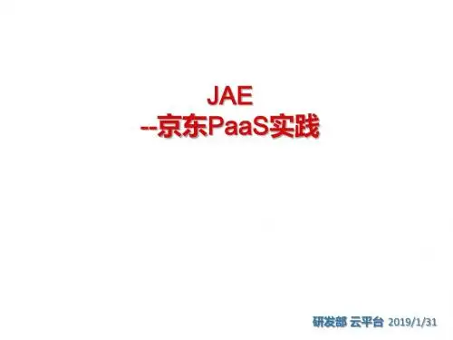 JAE-京东PAAS实践知识资料