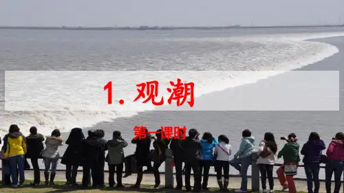 新版四年级上册-1 观潮人教(部编版) (共29张PPT)