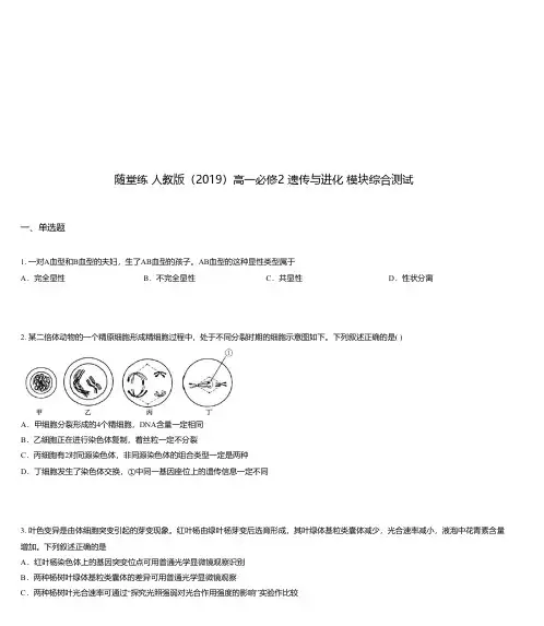 随堂练 人教版(2019)高一必修2 遗传与进化 模块综合测试