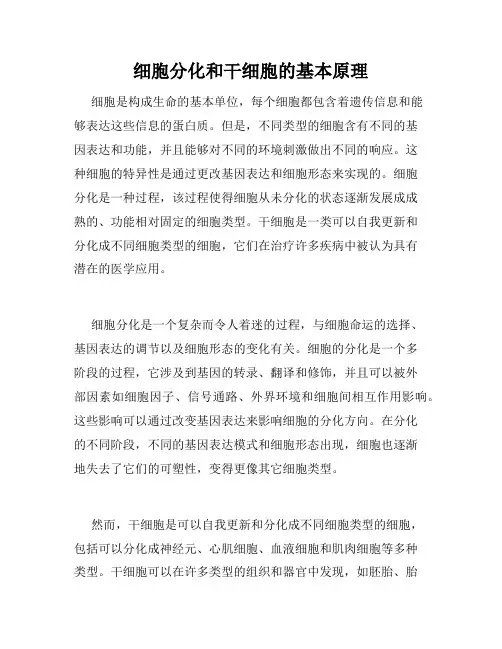 细胞分化和干细胞的基本原理