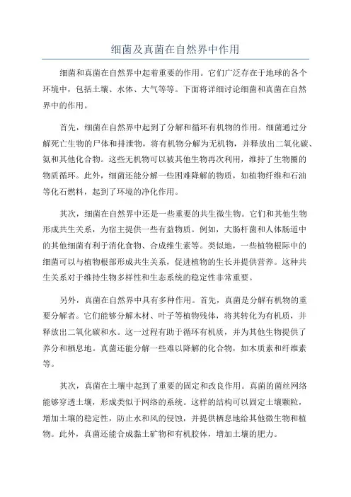 细菌及真菌在自然界中作用