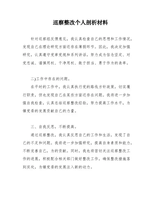 巡察整改个人剖析材料