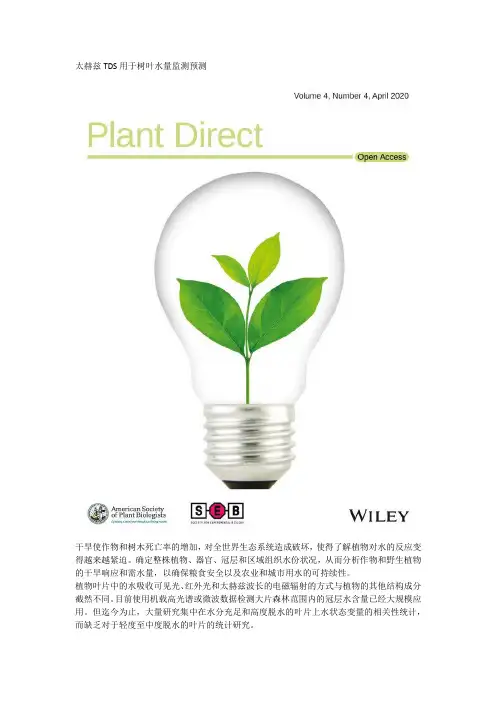 太赫兹TDS用于树叶水量预测