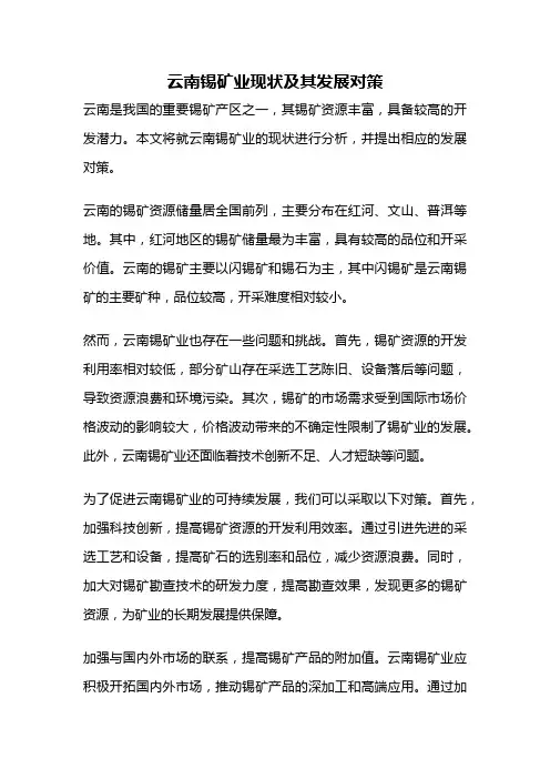 云南锡矿业现状及其发展对策