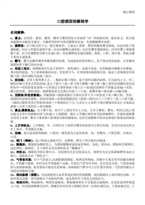 口腔颌面局部解剖学重点
