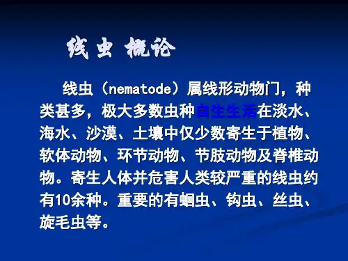 线虫 概论PPT课件