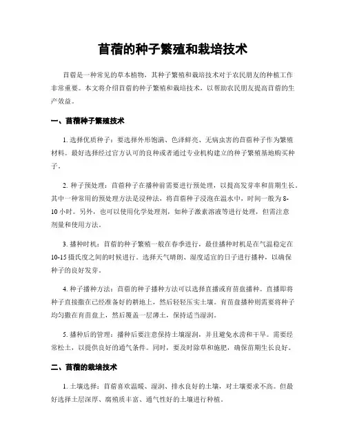苜蓿的种子繁殖和栽培技术