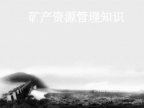 矿产资源管理知识ppt课件