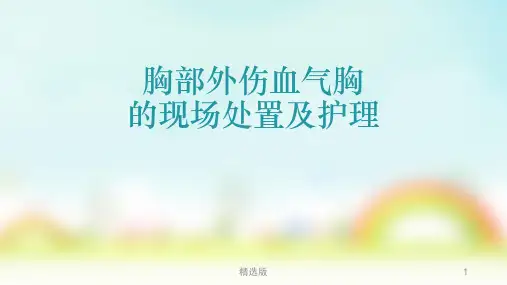 胸部外伤血气胸的现场处置及护理ppt课件