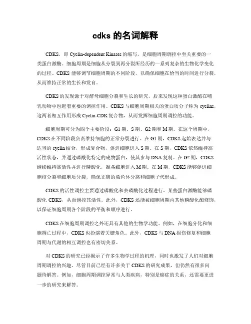 cdks的名词解释