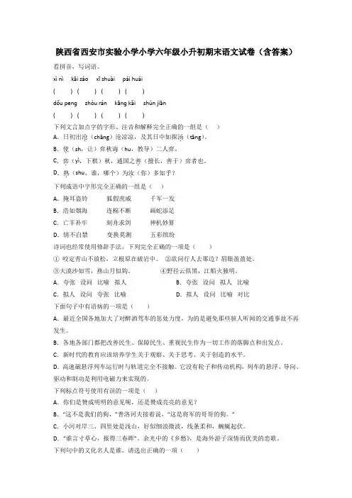 陕西省西安市实验小学小学六年级小升初期末语文试卷(含答案)
