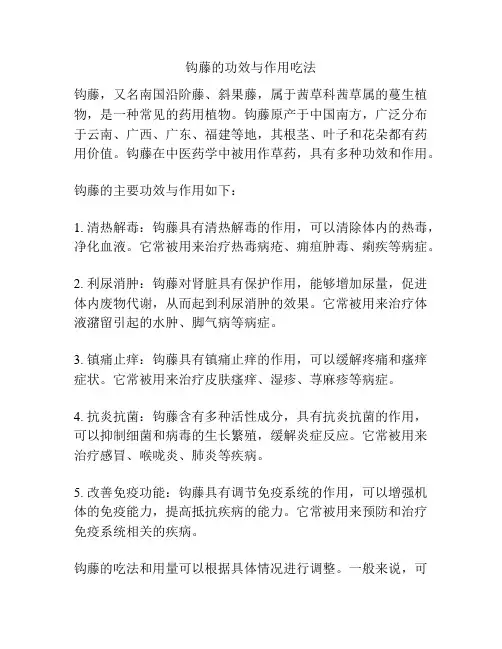 钩藤的功效与作用吃法