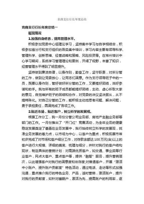 农商支行行长年度总结_年度工作总结_