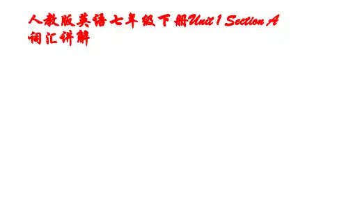 Unit1SectionA知识点讲解课件2021-2022学年人教版英语七年级下册