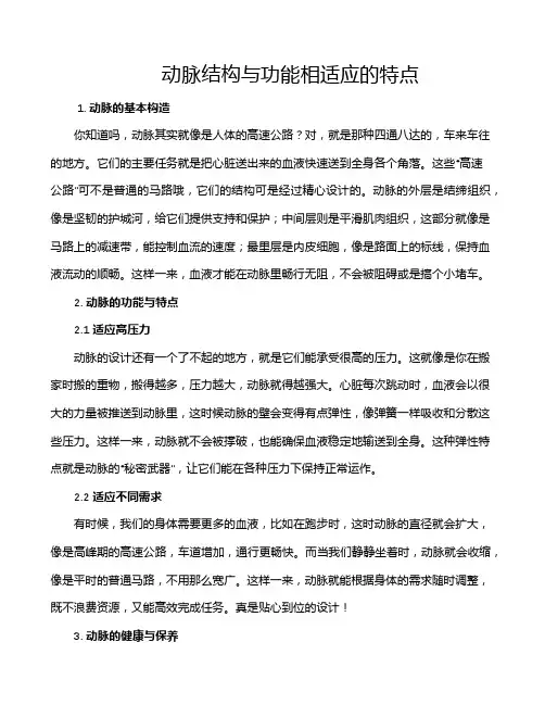 动脉结构与功能相适应的特点