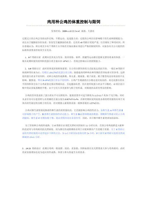 肉用种公鸡的体重控制与限饲