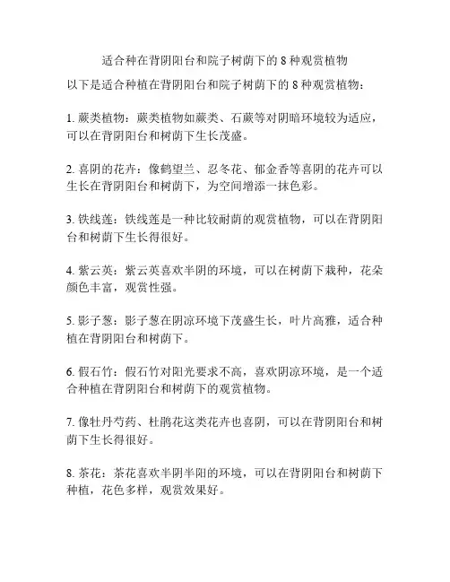 适合种在背阴阳台和院子树荫下的8种观赏植物
