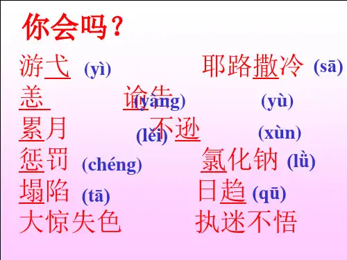 《死海不死》ppt课件