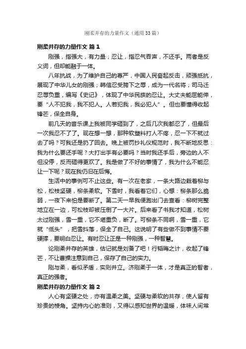 刚柔并存的力量作文（通用33篇）