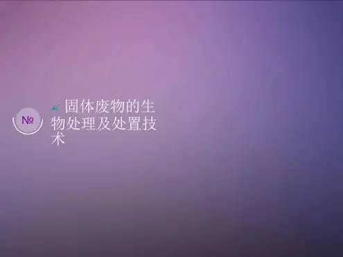 固体废弃物填埋