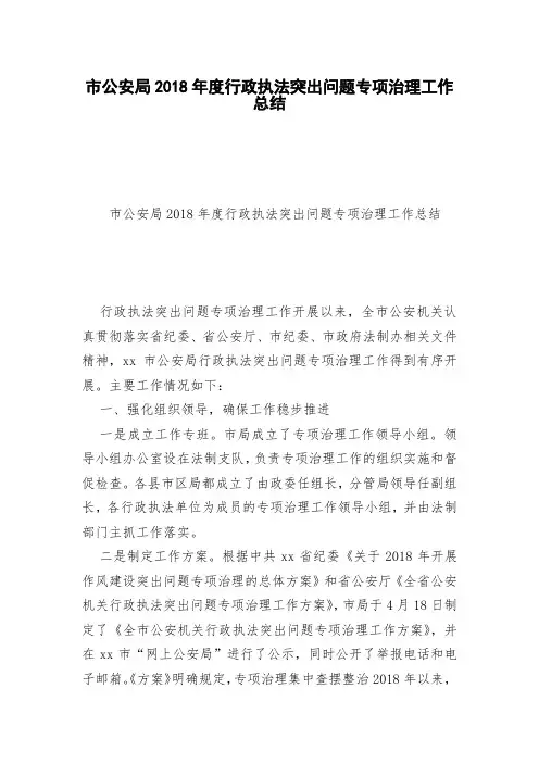 市公安局2018年度行政执法突出问题专项治理工作总结
