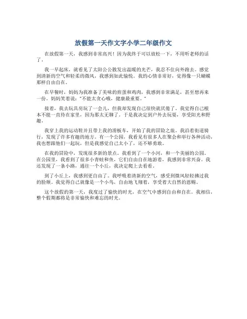 放假第一天作文字小学二年级作文