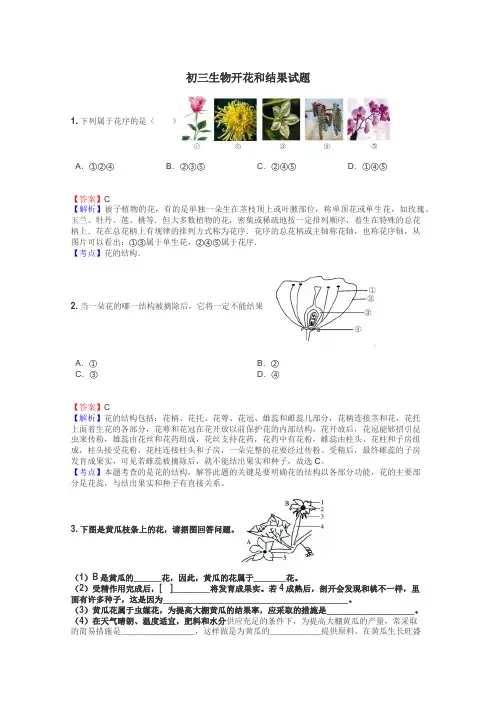 初三生物开花和结果试题
