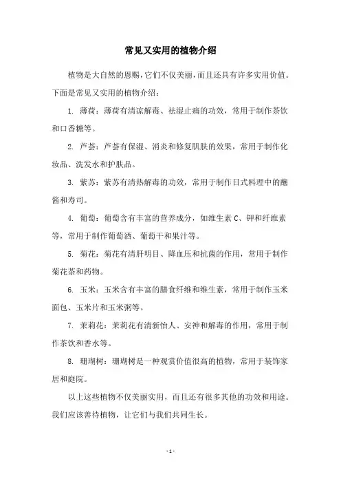 常见又实用的植物介绍
