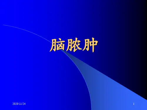 脑脓肿的影像学诊断 ppt课件