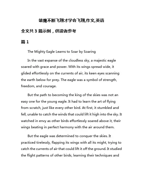 雄鹰不断飞翔才学会飞翔,作文,英语