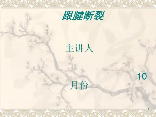 跟腱断裂护理查房ppt课件