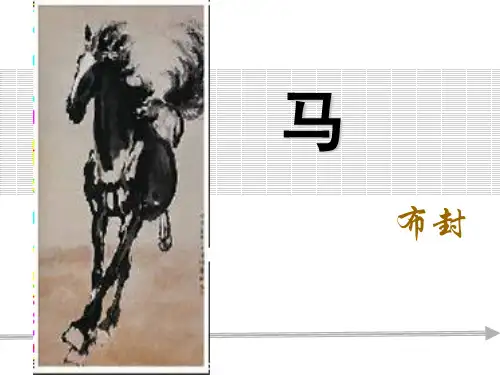 《马》PPT课件3 (共31张PPT)