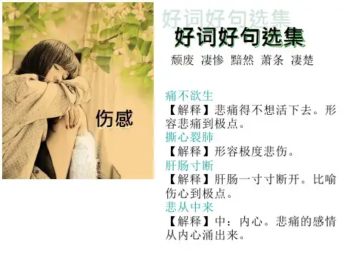 六年级下册语文-好词好句 
