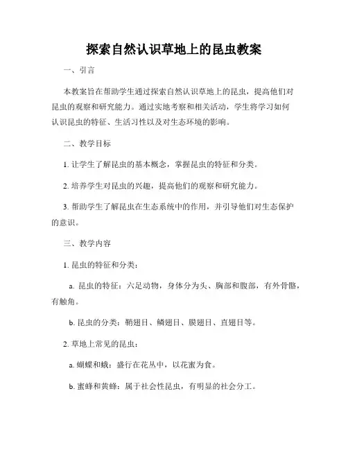 探索自然认识草地上的昆虫教案